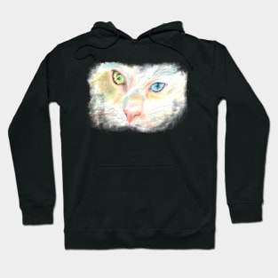 Many Colours of Cat Hoodie